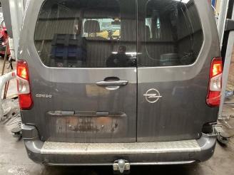 Opel Combo Combo Cargo, Van, 2018 1.2 110 picture 11