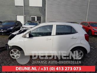 Kia Picanto Picanto (JA), Hatchback, 2017 1.0 12V picture 4