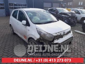 Auto da rottamare Kia Picanto Picanto (JA), Hatchback, 2017 1.0 12V 2019/9