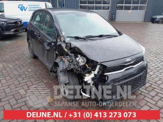 Sloopauto Kia Picanto Picanto (JA), Hatchback, 2017 1.0 DPi 12V 2021