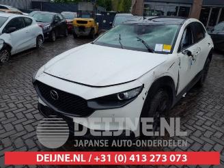 Mazda CX-30 CX-30 (DM), SUV, 2019 2.0 e-SkyActiv-G 122 16V picture 3