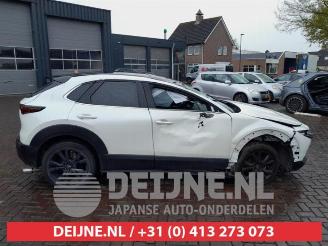 Mazda CX-30 CX-30 (DM), SUV, 2019 2.0 e-SkyActiv-G 122 16V picture 8