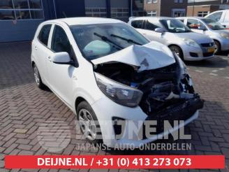 Auto da rottamare Kia Picanto Picanto (JA), Hatchback, 2017 1.0 12V 2018/2