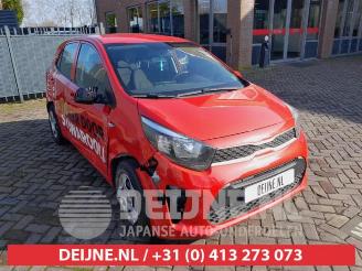 Auto da rottamare Kia Picanto Picanto (JA), Hatchback, 2017 1.0 12V 2019/2