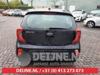Kia Picanto Picanto (JA), Hatchback, 2017 1.0 DPi 12V picture 6