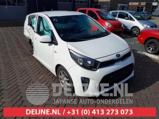 Dezmembrări autoturisme Kia Picanto Picanto (JA), Hatchback, 2017 1.0 12V 2017/9