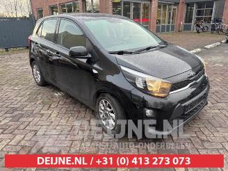 Vrakbiler auto Kia Picanto Picanto (JA), Hatchback, 2017 1.0 12V 2019/2