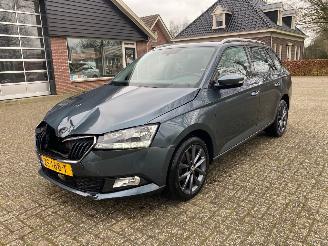 Unfallwagen Skoda Fabia 1.0 Business Edition 2019/7