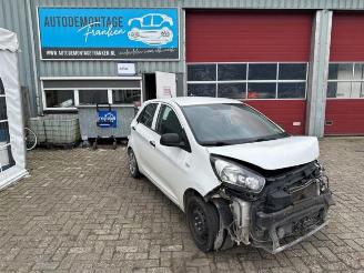 Vrakbiler auto Kia Picanto Picanto (TA), Hatchback, 2011 / 2017 1.0 12V 2014/1