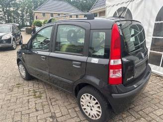 Fiat Panda Panda (169), Hatchback, 2003 / 2013 1.2 Fire picture 5