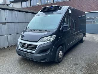 škoda nákladních automobilů Citroën  Ducato 2.3 2.3 130 Koelwagen 2019/2
