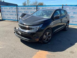 Voiture accidenté Opel Grandland 1.2 GS 2024/1