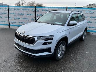 krockskadad bil auto Skoda Karoq 2025/9