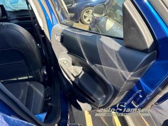 Ford EcoSport EcoSport (JK8), SUV, 2013 1.0 EcoBoost 12V 125 picture 18