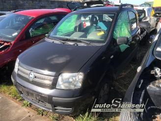 Démontage voiture Fiat Panda Panda (169), Hatchback, 2003 / 2013 1.2 Fire 2004/2