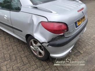 Peugeot 206 206 CC (2D), Cabrio, 2000 / 2007 1.6 16V picture 6