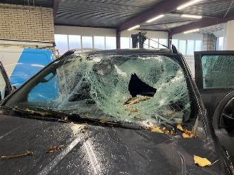 Ford Ranger 2.0D 156KW DOUBLE CAB. WILDTRAK 4WD AUT. KLIMA picture 17