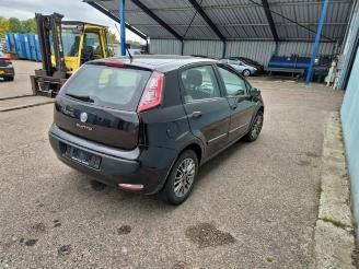 Fiat Punto Punto Evo (199), Hatchback, 2009 / 2012 1.3 JTD Multijet 85 16V Euro 5 picture 4