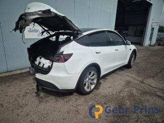 Tesla Model Y Model Y (5YJY), SUV, 2019 RWD picture 3