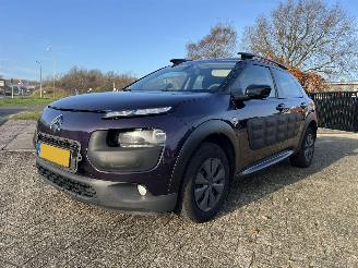 Citroën C4 cactus 1.6 BlueHDi Business picture 3
