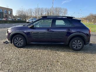 Citroën C4 cactus 1.6 BlueHDi Business picture 4