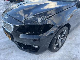 BMW  220i High Executive picture 5