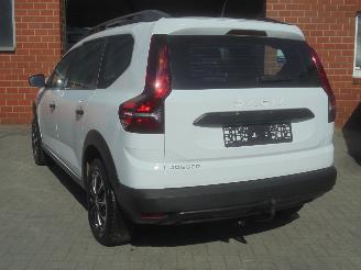 Schadeauto Dacia Jogger 1.0i Essential LPG Gas / Benzine, Airco, Cruise control 2023/8