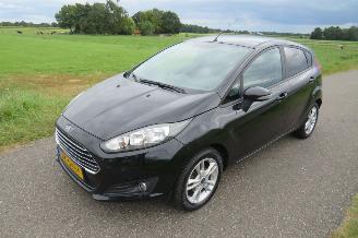 Unfallwagen Ford Fiesta 1.0 80pk Titanium 12-2014 Navigatie Airco 5drs  topstaat 2014/12
