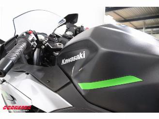 Kawasaki Ninja 500 SE Leo Vince ABS LED picture 9