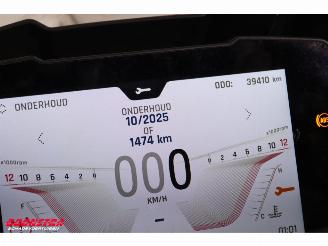 Triumph Tiger 900 Rally Pro ABS SHZ Heizgriffe Cruise picture 19