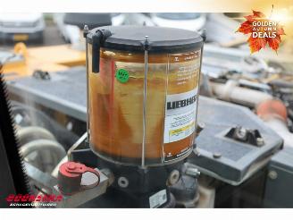 Liebherr  A916 LITRONIC SMP Tiltrotator picture 33