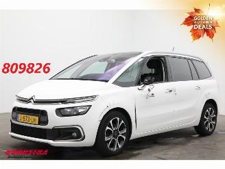 skadebil auto Citroën Grand C4 SpaceTourer 1.2 PureTech Bns 7-Pers. Navi Clima Cruise Camera PDC AHK 46.725 km! 2020/9