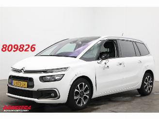 Citroën Grand C4 SpaceTourer 1.2 PureTech Bns 7-Pers. Navi Clima Cruise Camera PDC AHK 46.725 km! picture 1