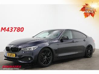 Damaged car BMW 4-serie Gran Coupé Gran Coupé 420i Executive LED Navi Clima Cruise Camera SHZ PDC 2018/4