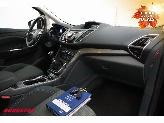 Ford Grand C-Max 1.0 Titanium 6-Pers. Navi Clima Cruise Camera PDC picture 8