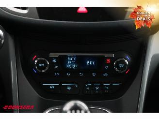 Ford Grand C-Max 1.0 Titanium 6-Pers. Navi Clima Cruise Camera PDC picture 20
