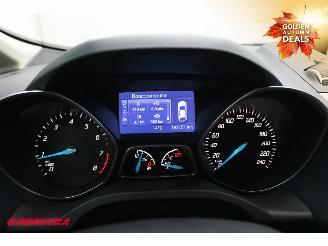 Ford Grand C-Max 1.0 Titanium 6-Pers. Navi Clima Cruise Camera PDC picture 16