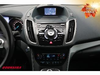 Ford Grand C-Max 1.0 Titanium 6-Pers. Navi Clima Cruise Camera PDC picture 10