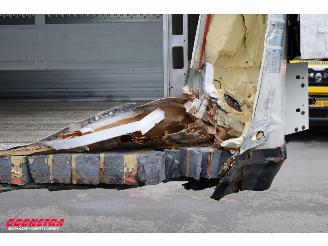 Schmitz Cargobull  SKO Thermo King SLXi 300 Dhollandia 2X Lift BY 2020 picture 18