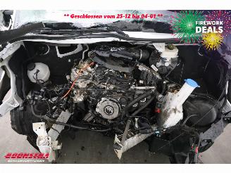 Mercedes Sprinter 515 CDI 9G-Tronic LBW Bak-Klep Dhollandia Navi Bluetooth picture 10