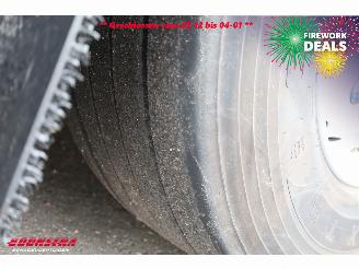 Schmitz Cargobull  SCB*S3 Carrier Vector HE19MT MultiTemp Rohrbahn Fleisch picture 22