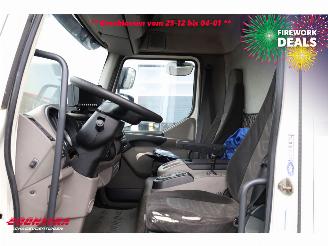 DAF LF 45 Glasresteel 4X2 Euro 5 picture 22