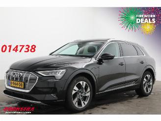 ocasión turismos Audi E-tron 50 Quattro Launch edition plus 71 kWh LED ACC Leder SHZ AHK 2019/12