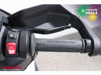 BMW  C 400 GT C 400 GT LED ABS Bluetooth Heizgriffe SHZ picture 26