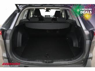 Toyota Rav-4 2.5 Hybrid Style LED ACC Navi Clima Camera AHK picture 26