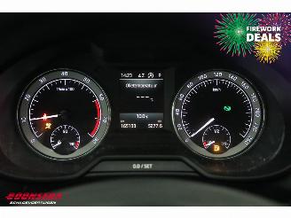 Skoda Octavia Combi 1.0 TSI DSG Ambition Navi Clima Cruise SHZ PDC AHK picture 20