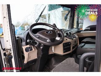 MAN TGS 18.320 Full Air LBW Dhollandia Camera Navi picture 27