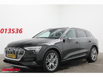 Avarii autoturisme Audi E-tron 55 Quattro MirrorCam 360° Memory SHZ AHK 2019/5