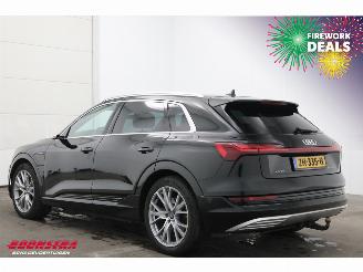 Audi E-tron 55 Quattro MirrorCam 360° Memory SHZ AHK picture 4