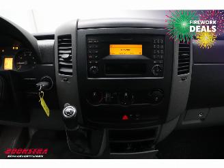 Mercedes Sprinter 316 NGT Aut. CNG Dhollandia LBW picture 21